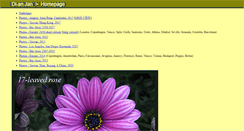 Desktop Screenshot of dianj.freeshell.org