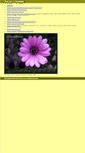 Mobile Screenshot of dianj.freeshell.org