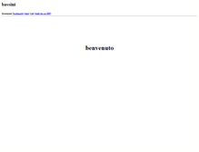 Tablet Screenshot of bassini.freeshell.org