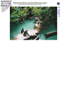 Mobile Screenshot of cochise.freeshell.org